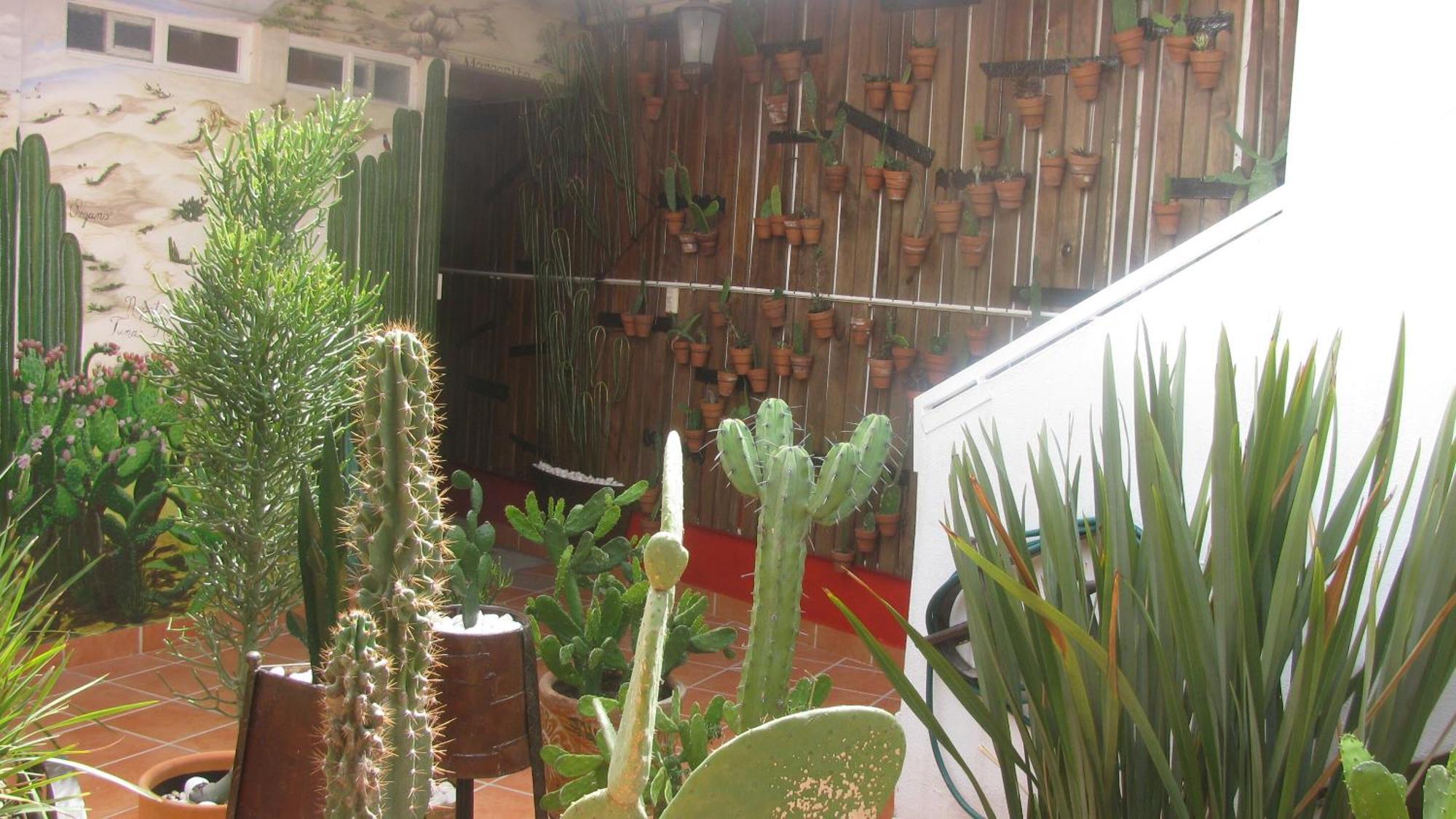 Casa Zuniga B&B Guanajuato Exterior foto